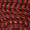 Black/Widow - 750 Paracord
