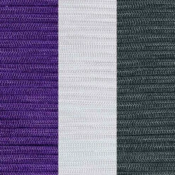 Sacramento Basketball Fan Colors Paracord Kit